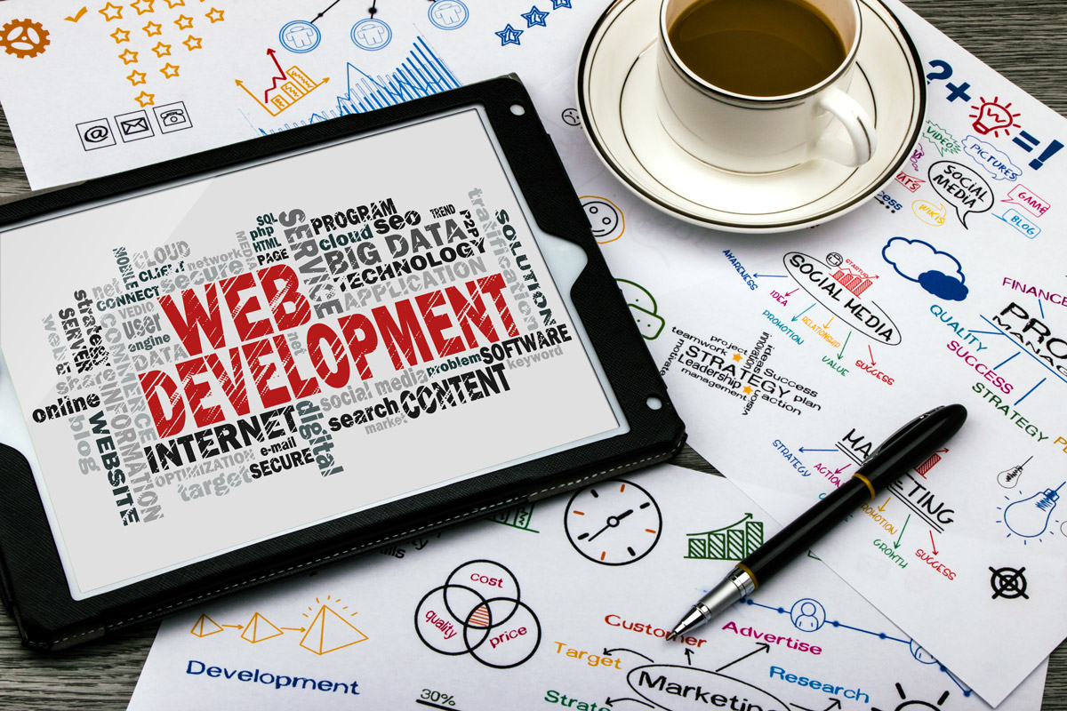 Expertise Noemi Conseil